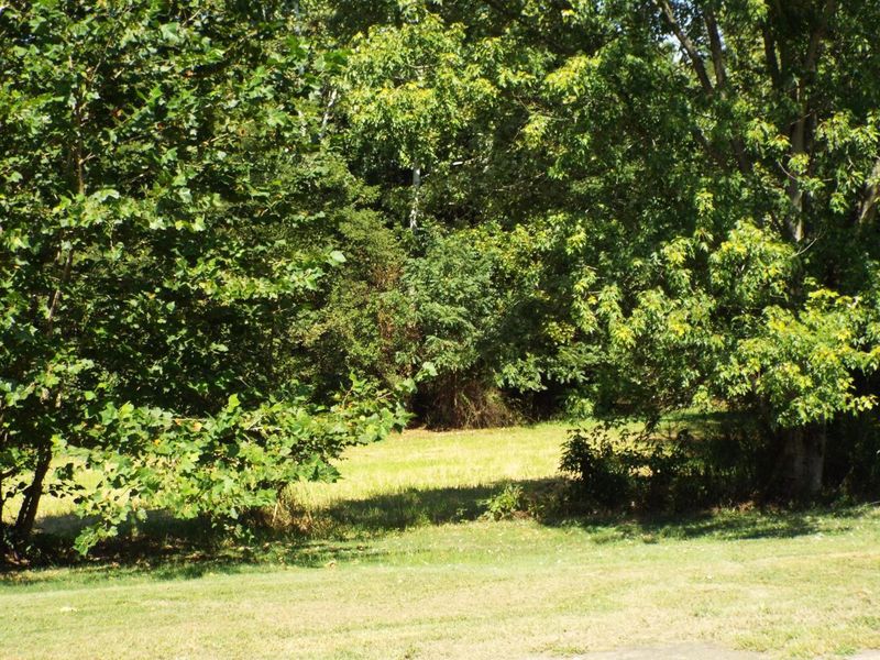 17687 Laurel Run Road, Nelsonville, OH 45764 Photo 7