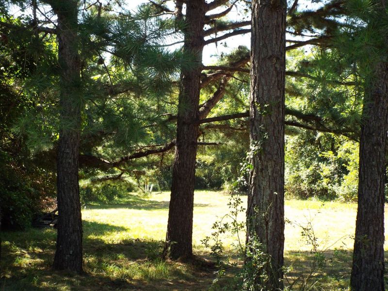 17687 Laurel Run Road, Nelsonville, OH 45764 Photo 8