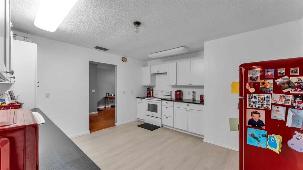 13700 Pine Meadow Road, Kathleen, FL 33849 Photo