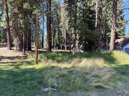 463-235 Twin Pine Drive, Clear Creek, CA 96137 Photo