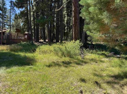 463-235 Twin Pine Drive, Clear Creek, CA 96137 Photo