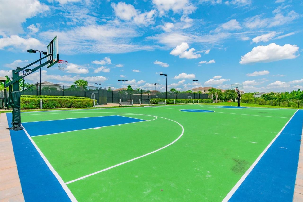 2709 Coco Palm Circle, Wesley Chapel, FL 33543 Photo