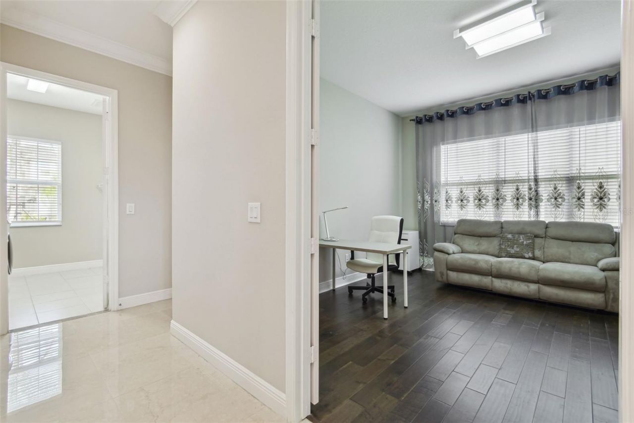 2709 Coco Palm Circle, Wesley Chapel, FL 33543 Photo