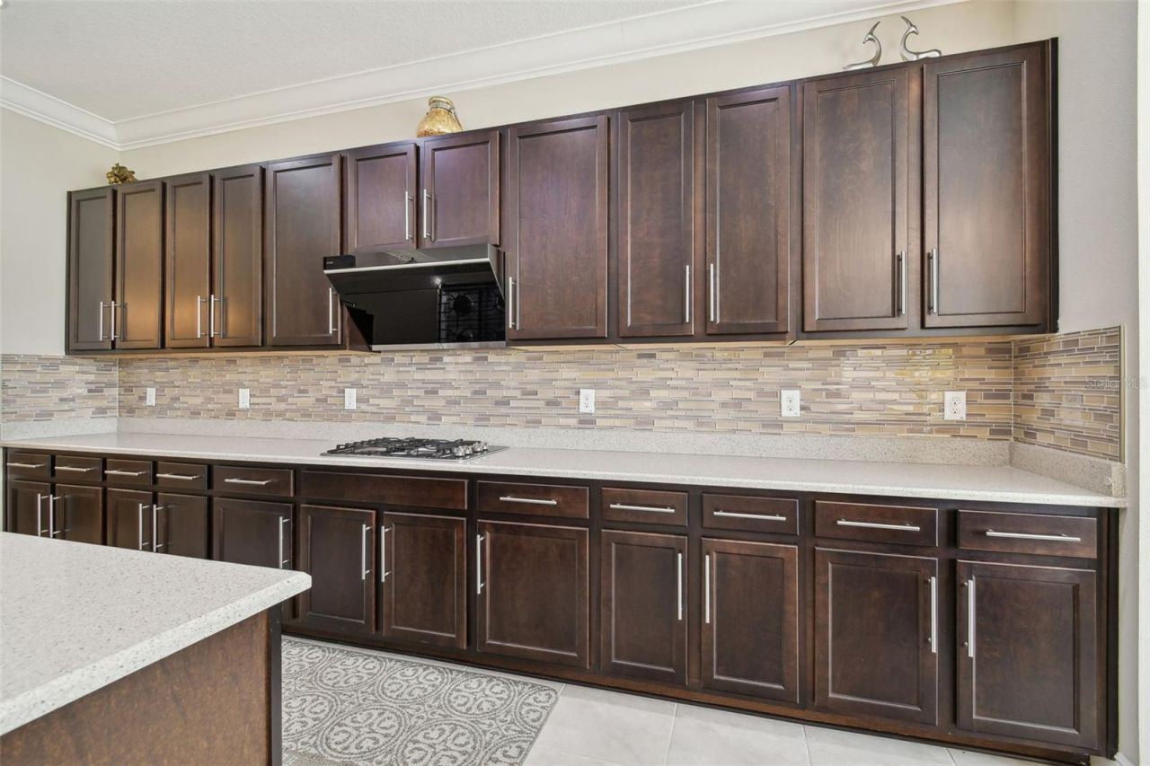 2709 Coco Palm Circle, Wesley Chapel, FL 33543 Photo