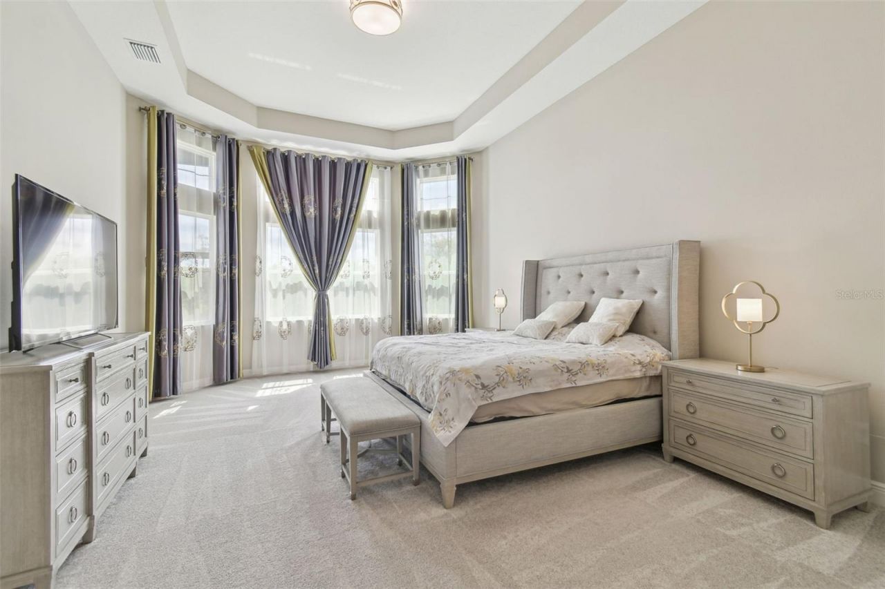 2709 Coco Palm Circle, Wesley Chapel, FL 33543 Photo