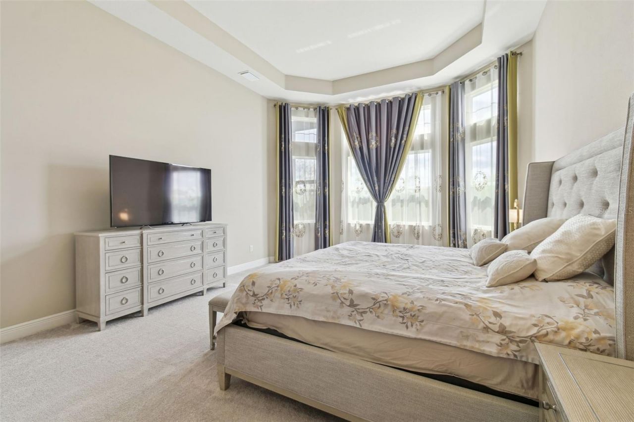 2709 Coco Palm Circle, Wesley Chapel, FL 33543 Photo