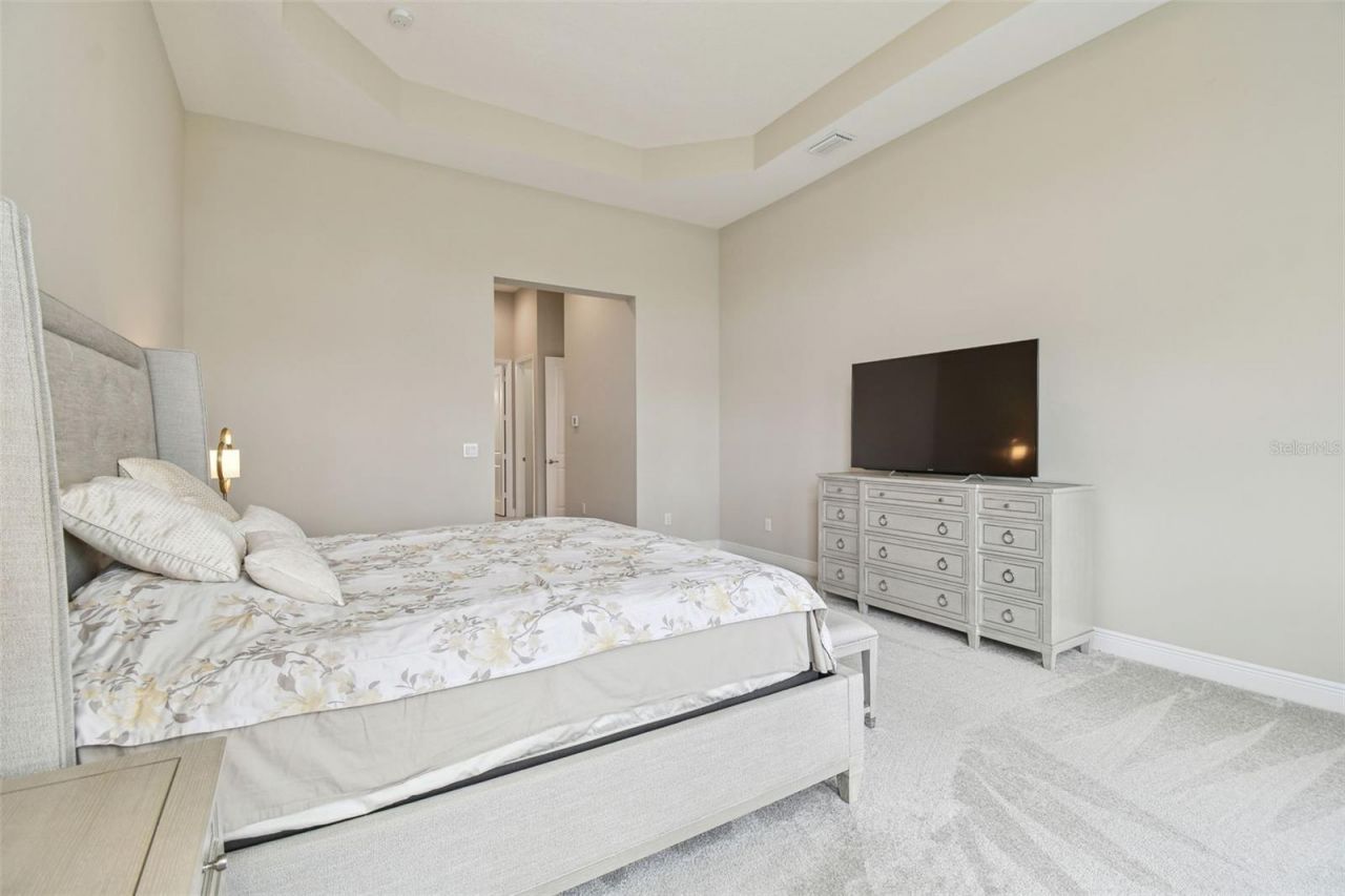 2709 Coco Palm Circle, Wesley Chapel, FL 33543 Photo