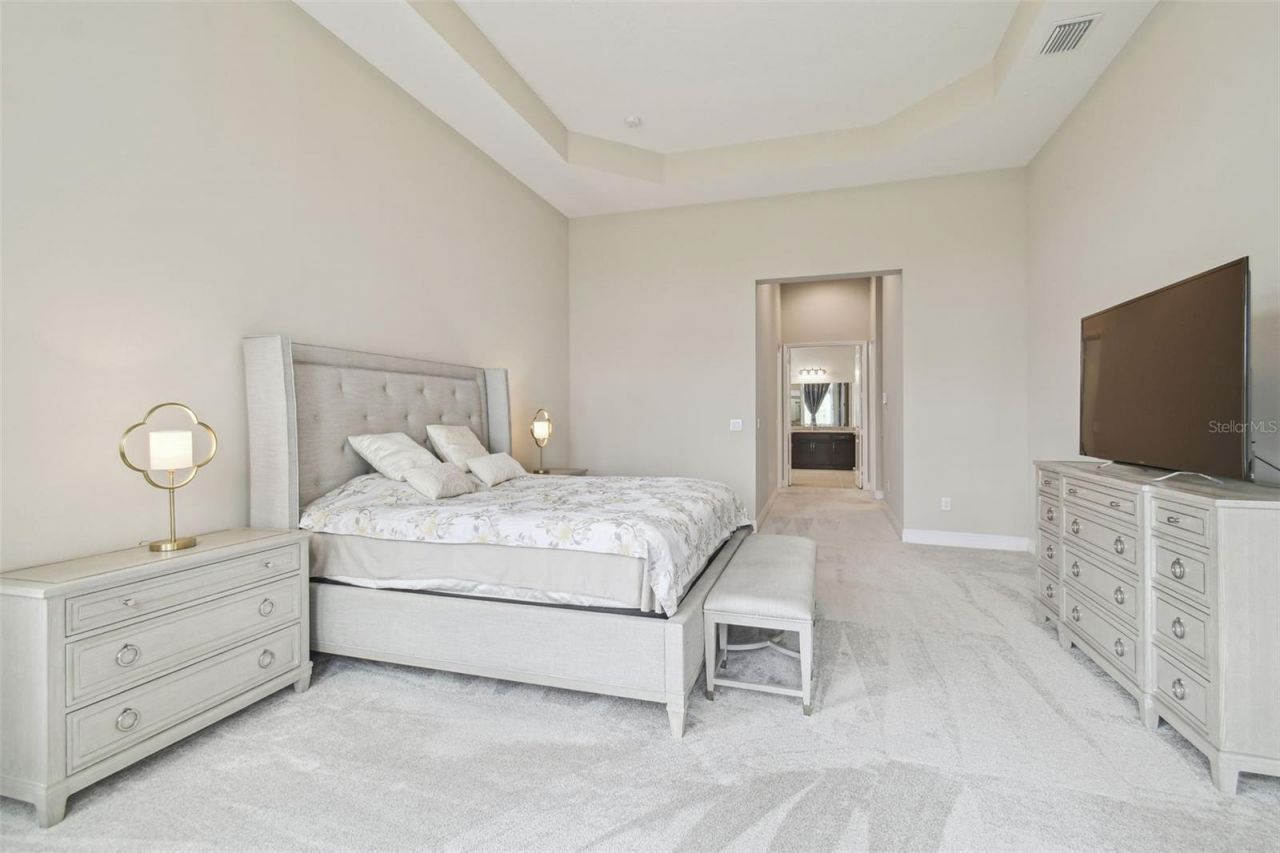 2709 Coco Palm Circle, Wesley Chapel, FL 33543 Photo