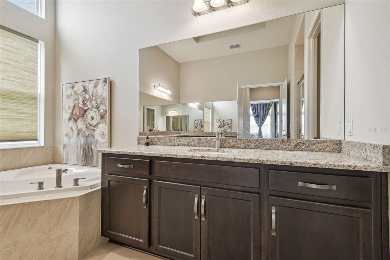 2709 Coco Palm Circle, Wesley Chapel, FL 33543 Photo