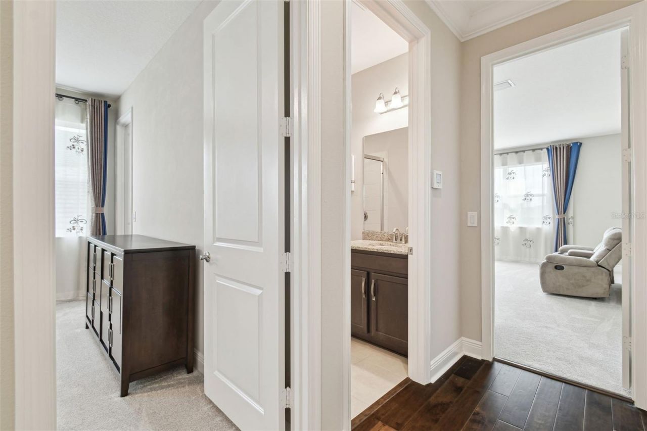 2709 Coco Palm Circle, Wesley Chapel, FL 33543 Photo