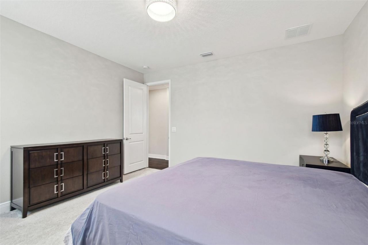 2709 Coco Palm Circle, Wesley Chapel, FL 33543 Photo