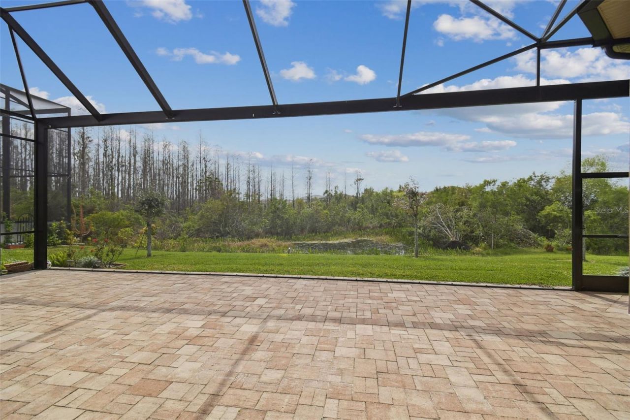 2709 Coco Palm Circle, Wesley Chapel, FL 33543 Photo