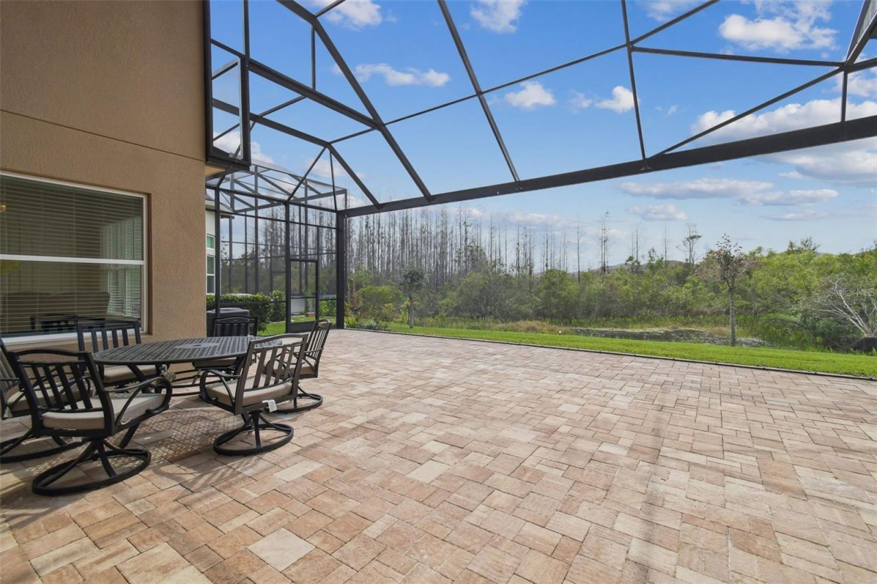 2709 Coco Palm Circle, Wesley Chapel, FL 33543 Photo