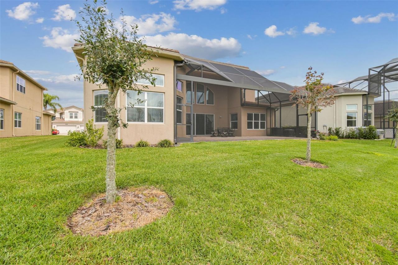 2709 Coco Palm Circle, Wesley Chapel, FL 33543 Photo