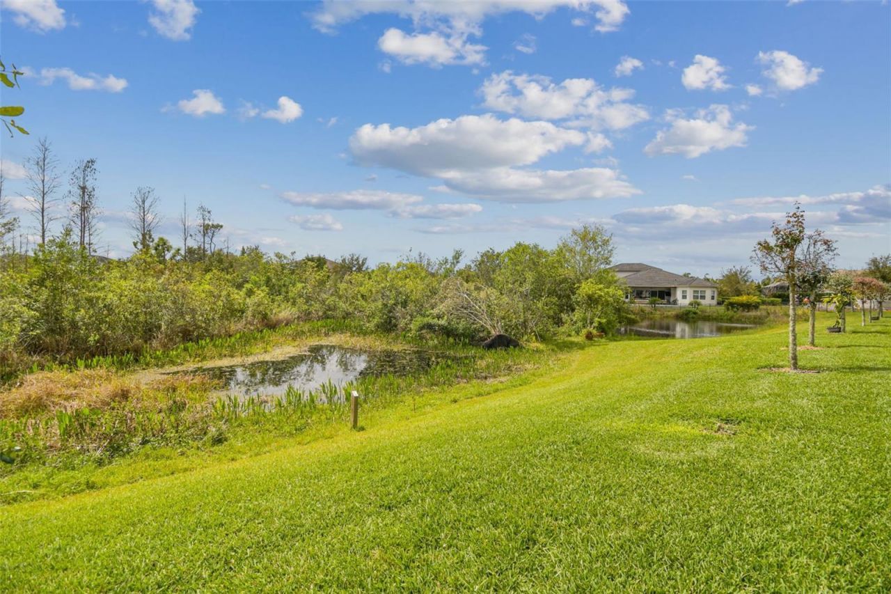 2709 Coco Palm Circle, Wesley Chapel, FL 33543 Photo