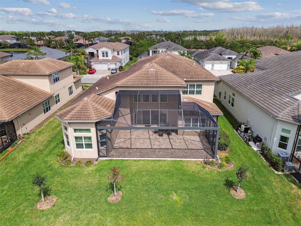 2709 Coco Palm Circle, Wesley Chapel, FL 33543 Photo