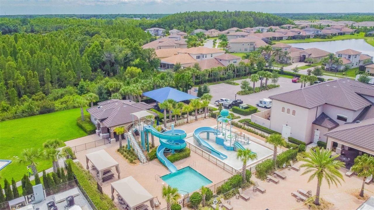 2709 Coco Palm Circle, Wesley Chapel, FL 33543 Photo