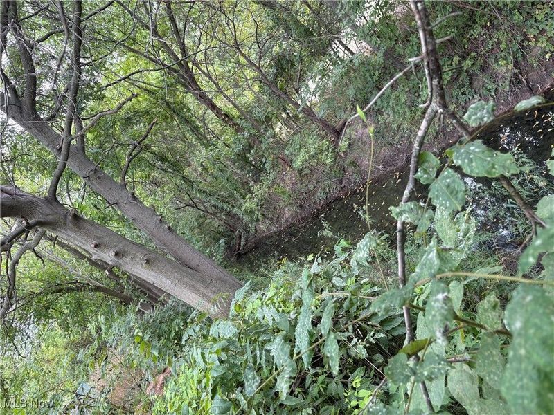 38751 Sugar Ridge Road, North Ridgeville, OH 44039 Photo 8