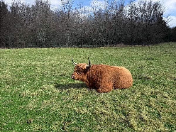 4081 FM 2736, Unit A, Campbell, TX 75422