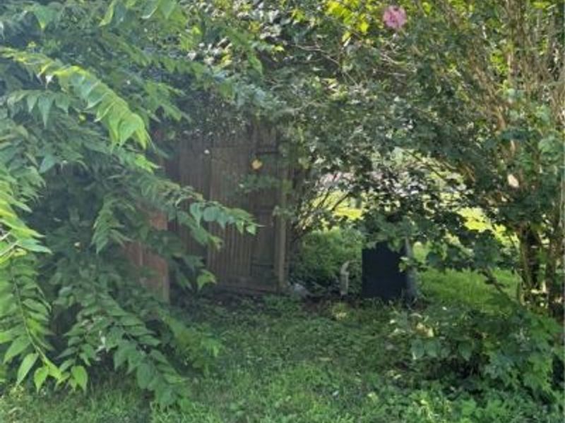 37020 Monroe Street, Sardis, OH 43946 Photo 13