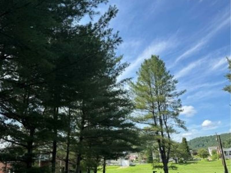 37020 Monroe Street, Sardis, OH 43946 Photo 16