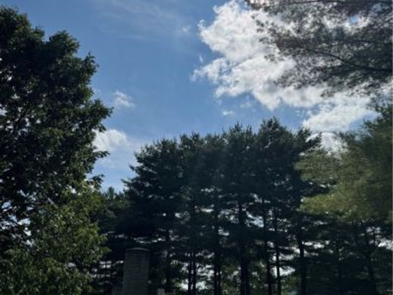 37020 Monroe Street, Sardis, OH 43946 Photo 3