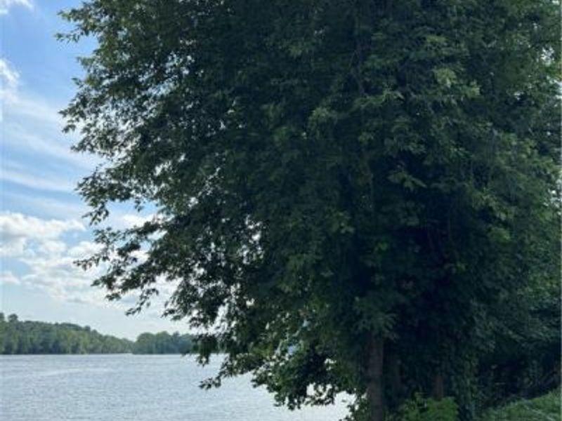 37020 Monroe Street, Sardis, OH 43946 Photo 9