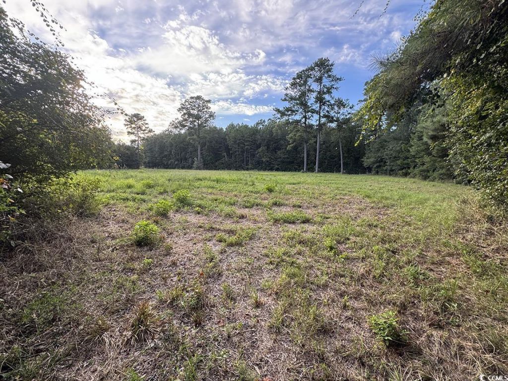 Tbd Dead Ridge Rd Photo 4