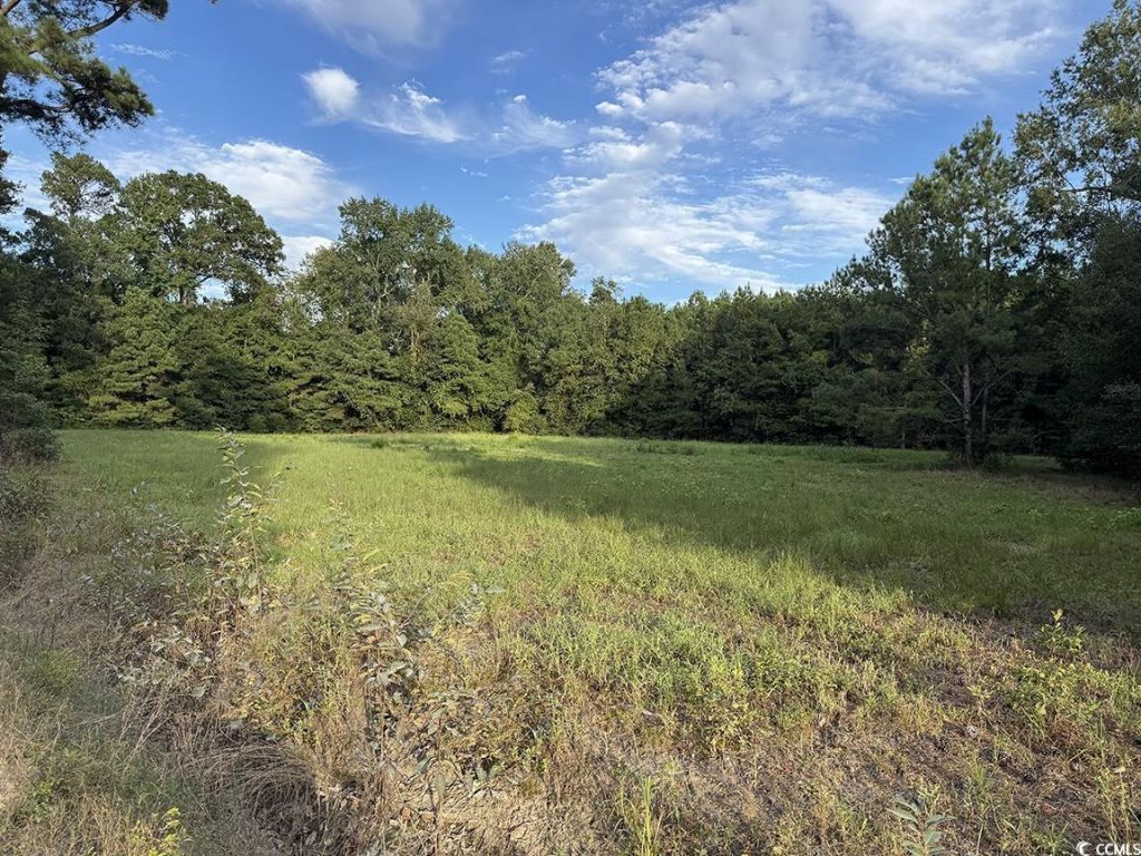 Tbd Dead Ridge Rd Photo 5