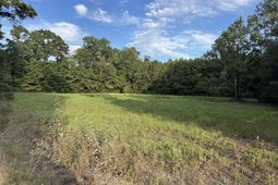 Tbd Dead Ridge Rd photo 4