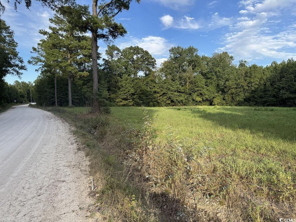 Tbd Dead Ridge Rd Photo 6