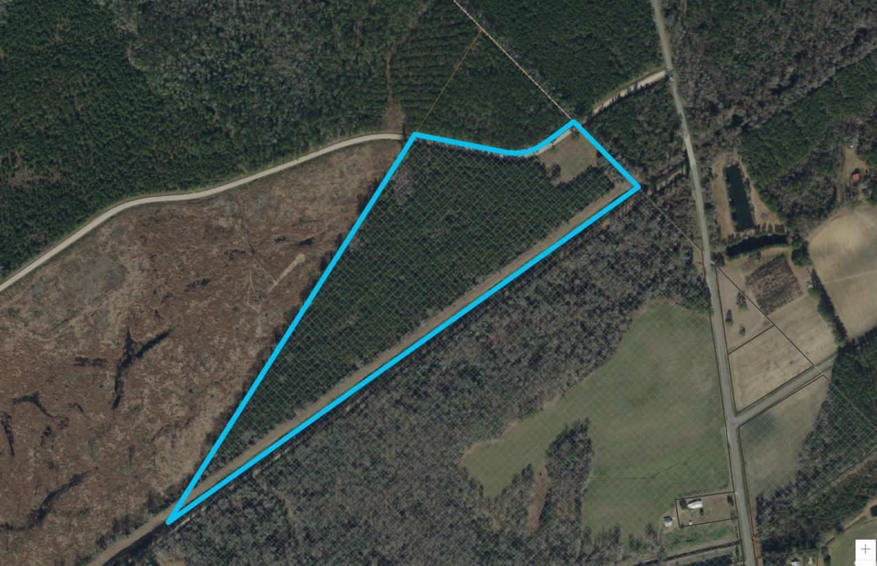 Tbd Dead Ridge Rd Photo 7