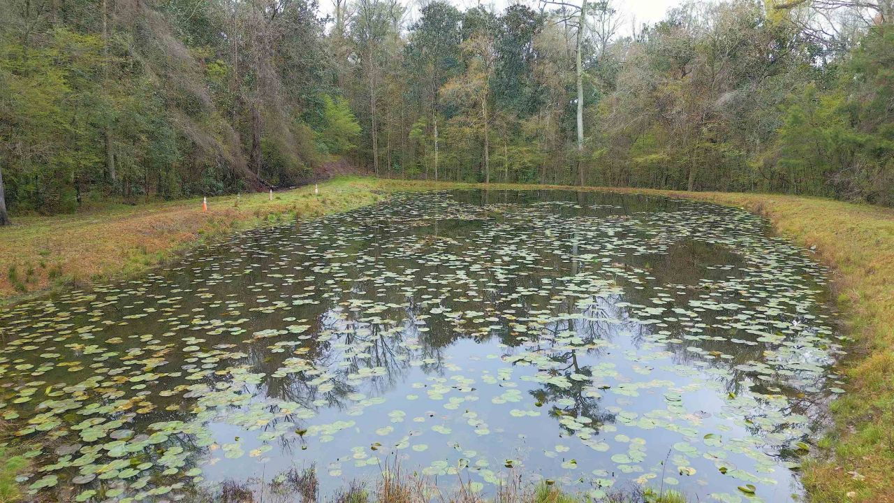 26070 Blue Star Highway, Quincy, FL 32351 Photo