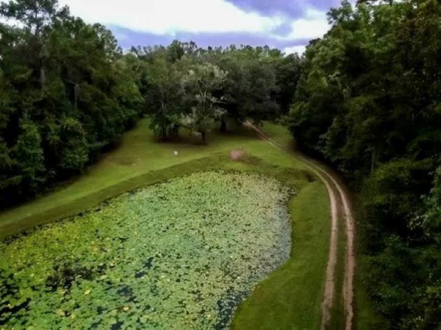 26070 Blue Star Highway, Quincy, FL 32351 Photo