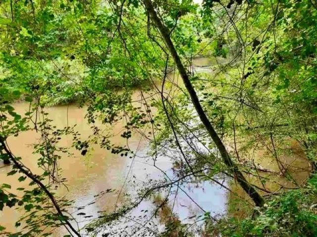 26070 Blue Star Highway, Quincy, FL 32351 Photo