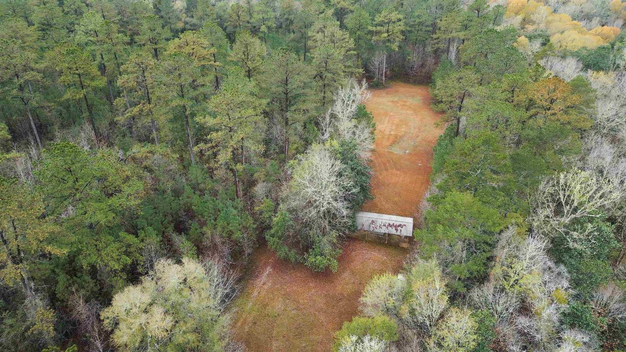 26070 Blue Star Highway, Quincy, FL 32351 Photo