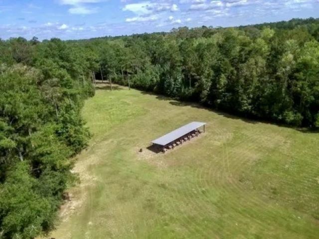 26070 Blue Star Highway, Quincy, FL 32351 Photo