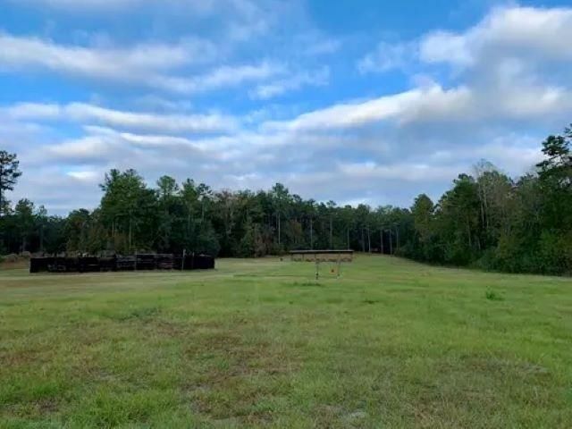 26070 Blue Star Highway, Quincy, FL 32351 Photo