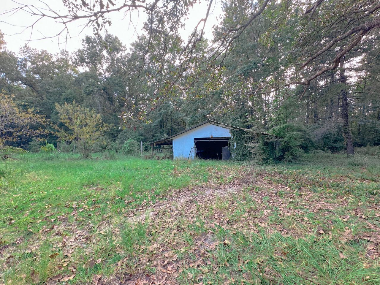 1311 Schurlknight Road Photo 23