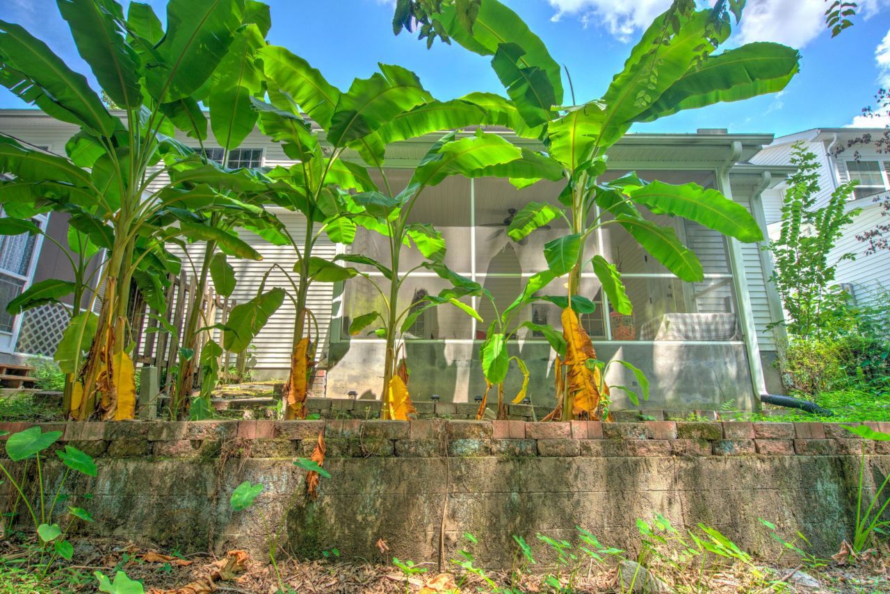 117 Steeple Point Court Photo 29