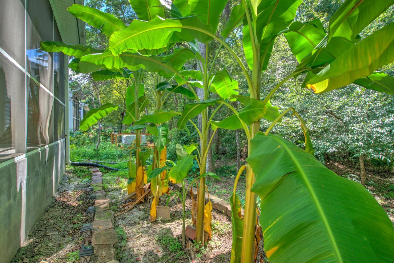117 Steeple Point Court Photo 32