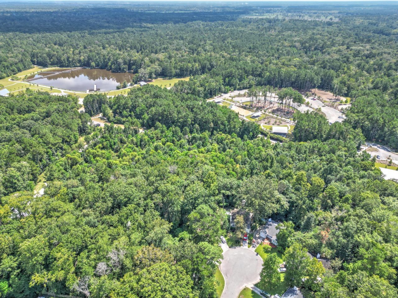 117 Steeple Point Court Photo 36