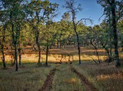 Bell Rd, Auburn, CA 95603 Photo