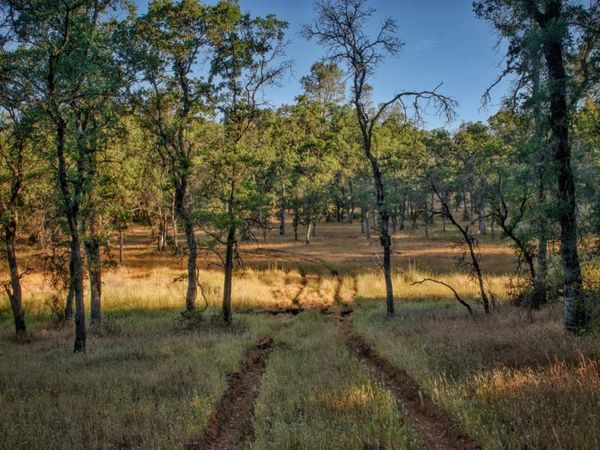 Bell Rd, Auburn, CA 95603