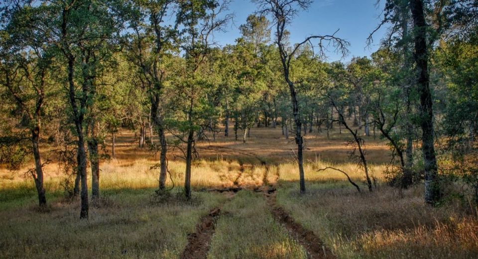 Bell Rd, Auburn, CA 95603 Photo