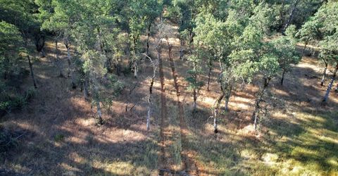 Bell Rd, Auburn, CA 95603 Photo