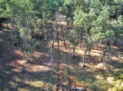 Bell Rd, Auburn, CA 95603 Photo