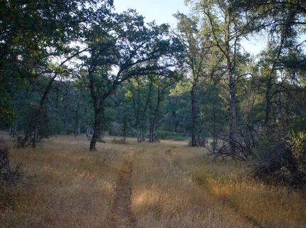 Bell Rd, Auburn, CA 95603 Photo