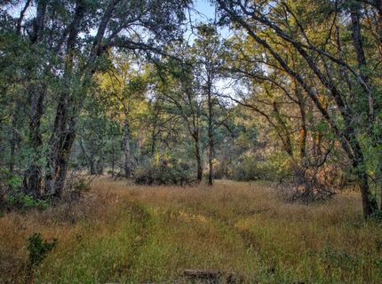 Bell Rd, Auburn, CA 95603 Photo