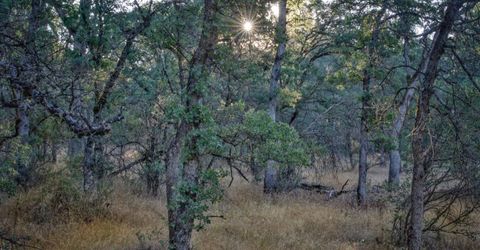 Bell Rd, Auburn, CA 95603 Photo